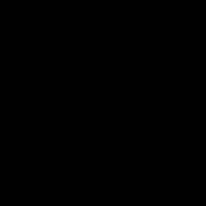 Meet your Posher, Zoya